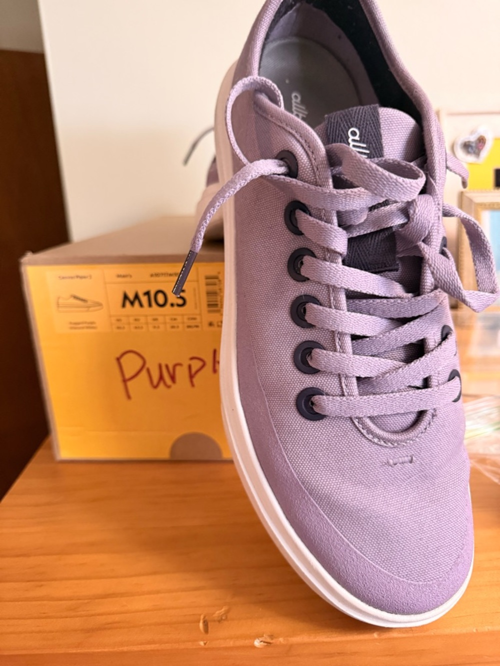 allbirds Men's Sneakers in Light Purple
